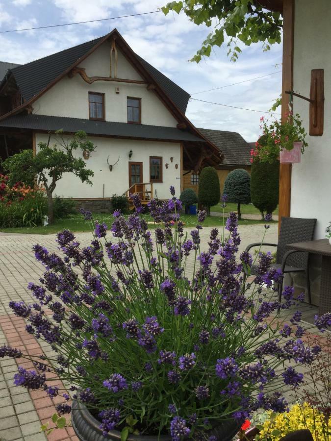 Dom Rodziny Sojkow Bed & Breakfast Bialka Tatrzanska Ngoại thất bức ảnh